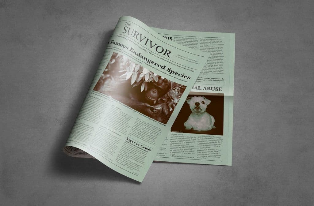 École Intuit.Lab French Institute of Design, Digital & Strategy Mumbai Student Works photo 3